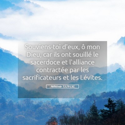 Picture 05 - Néhémie 13:29 LSG - Souviens-toi d'eux, ô mon Dieu, car ils ont - Bible Verse Picture