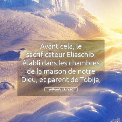 Picture 05 - Néhémie 13:4 LSG - Avant cela, le sacrificateur Eliaschib, établi - Bible Verse Picture