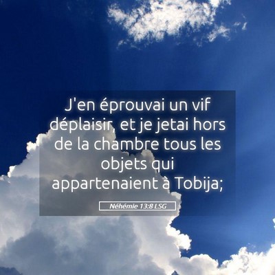 Picture 05 - Néhémie 13:8 LSG - J'en éprouvai un vif déplaisir, et je jetai - Bible Verse Picture
