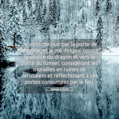 Picture 05 - Néhémie 2:13 LSG - Je sortis de nuit par la porte de la vallée, et - Bible Verse Picture