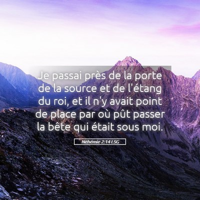 Picture 05 - Néhémie 2:14 LSG - Je passai près de la porte de la source et de - Bible Verse Picture