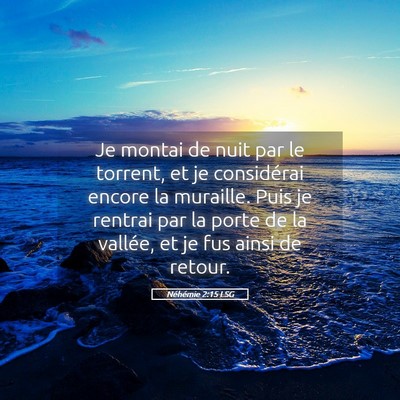 Picture 05 - Néhémie 2:15 LSG - Je montai de nuit par le torrent, et je - Bible Verse Picture
