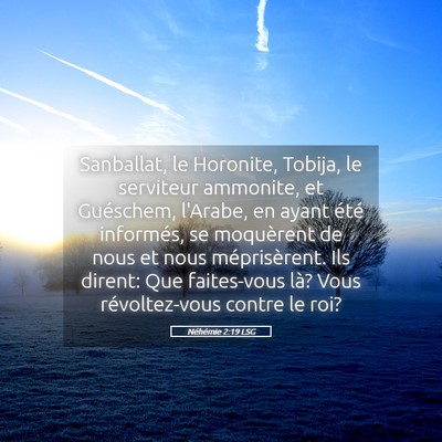 Picture 05 - Néhémie 2:19 LSG - Sanballat, le Horonite, Tobija, le serviteur - Bible Verse Picture