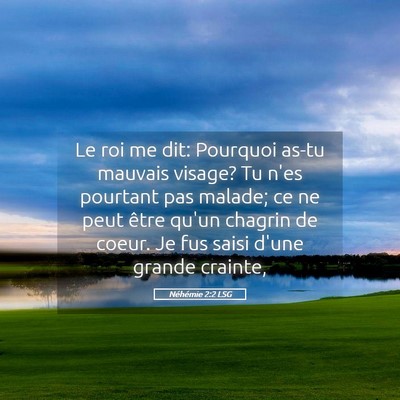 Picture 05 - Néhémie 2:2 LSG - Le roi me dit: Pourquoi as-tu mauvais visage? Tu - Bible Verse Picture