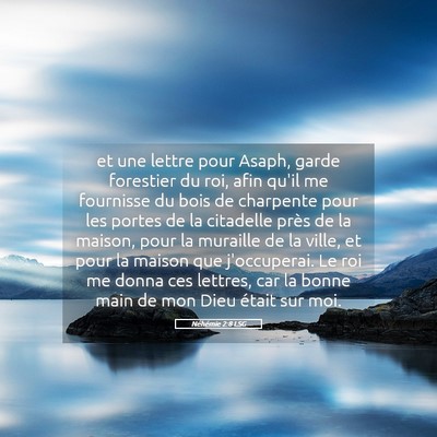 Picture 05 - Néhémie 2:8 LSG - et une lettre pour Asaph, garde forestier du roi, - Bible Verse Picture