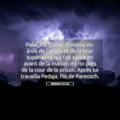 Picture 05 - Néhémie 3:25 LSG - Palal, fils d'Uzaï, travailla vis-à-vis de - Bible Verse Picture