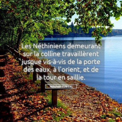 Picture 05 - Néhémie 3:26 LSG - Les Néthiniens demeurant sur la colline - Bible Verse Picture