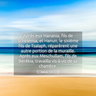 Picture 05 - Néhémie 3:30 LSG - Après eux Hanania, fils de Schélémia, et - Bible Verse Picture