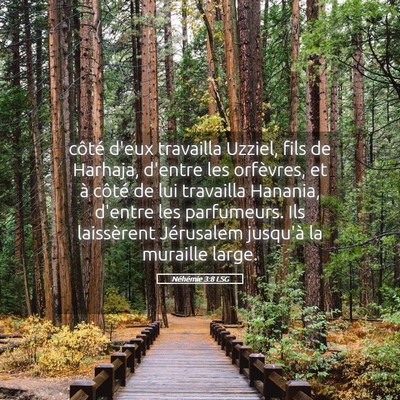 Picture 05 - Néhémie 3:8 LSG - côté d'eux travailla Uzziel, fils de Harhaja, - Bible Verse Picture