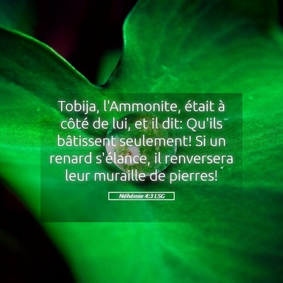 Picture 05 - Néhémie 4:3 LSG - Tobija, l'Ammonite, était à côté de lui, et - Bible Verse Picture