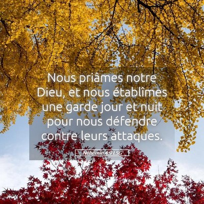 Picture 05 - Néhémie 4:9 LSG - Nous priâmes notre Dieu, et nous établîmes une - Bible Verse Picture