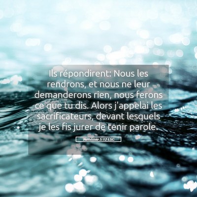 Picture 05 - Néhémie 5:12 LSG - Ils répondirent: Nous les rendrons, et nous ne - Bible Verse Picture