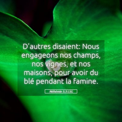Picture 05 - Néhémie 5:3 LSG - D'autres disaient: Nous engageons nos champs, nos - Bible Verse Picture