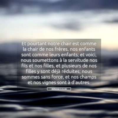 Picture 05 - Néhémie 5:5 LSG - Et pourtant notre chair est comme la chair de nos - Bible Verse Picture