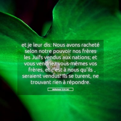 Picture 05 - Néhémie 5:8 LSG - et je leur dis: Nous avons racheté selon notre - Bible Verse Picture