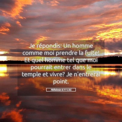 Picture 05 - Néhémie 6:11 LSG - Je répondis: Un homme comme moi prendre la - Bible Verse Picture
