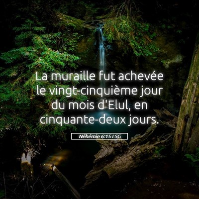 Picture 05 - Néhémie 6:15 LSG - La muraille fut achevée le vingt-cinquième jour - Bible Verse Picture