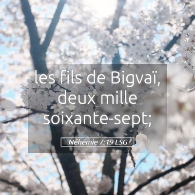 Picture 05 - Néhémie 7:19 LSG - les fils de Bigvaï, deux mille - Bible Verse Picture
