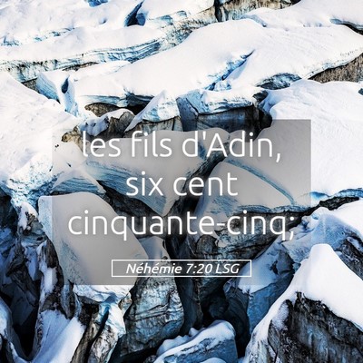 Picture 05 - Néhémie 7:20 LSG - les fils d'Adin, six cent - Bible Verse Picture