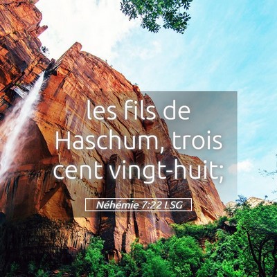 Picture 05 - Néhémie 7:22 LSG - les fils de Haschum, trois cent - Bible Verse Picture