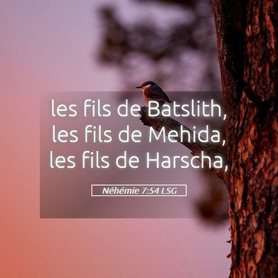 Picture 05 - Néhémie 7:54 LSG - les fils de Batslith, les fils de Mehida, les - Bible Verse Picture