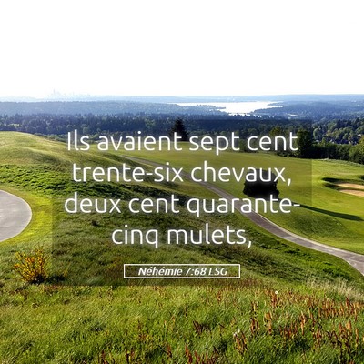 Picture 05 - Néhémie 7:68 LSG - Ils avaient sept cent trente-six chevaux, deux - Bible Verse Picture