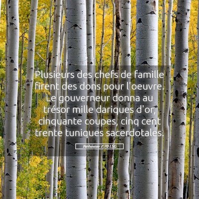 Picture 05 - Néhémie 7:70 LSG - Plusieurs des chefs de famille firent des dons - Bible Verse Picture