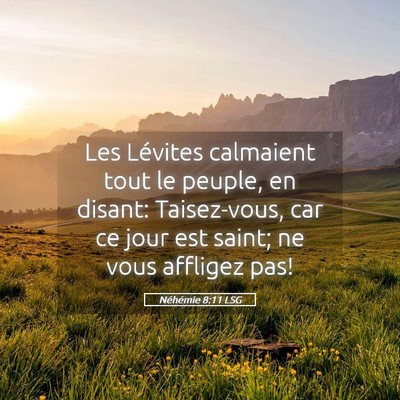 Picture 05 - Néhémie 8:11 LSG - Les Lévites calmaient tout le peuple, en disant: - Bible Verse Picture