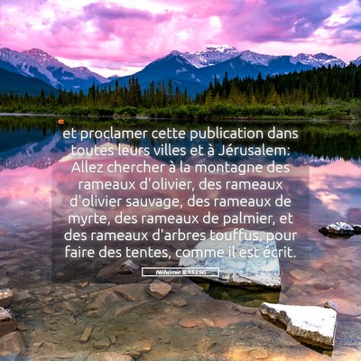 Picture 05 - Néhémie 8:15 LSG - et proclamer cette publication dans toutes leurs - Bible Verse Picture