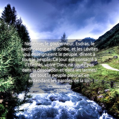 Picture 05 - Néhémie 8:9 LSG - Néhémie, le gouverneur, Esdras, le - Bible Verse Picture