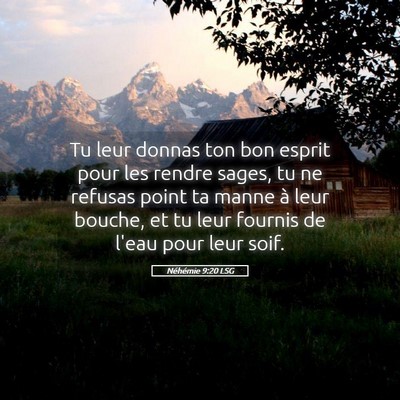 Picture 05 - Néhémie 9:20 LSG - Tu leur donnas ton bon esprit pour les rendre - Bible Verse Picture