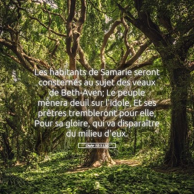 Picture 05 - Osée 10:5 LSG - Les habitants de Samarie seront consternés au - Bible Verse Picture