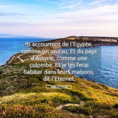 Picture 05 - Osée 11:11 LSG - Ils accourront de l'Egypte, comme un oiseau, Et - Bible Verse Picture