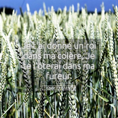 Picture 05 - Osée 13:11 LSG - Je t'ai donné un roi dans ma colère, Je te - Bible Verse Picture