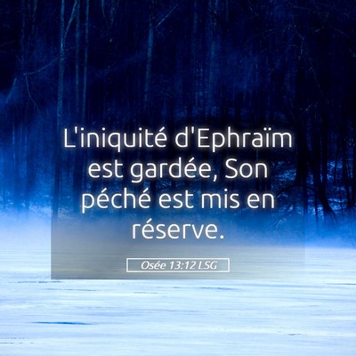 Picture 05 - Osée 13:12 LSG - L'iniquité d'Ephraïm est gardée, Son péché - Bible Verse Picture
