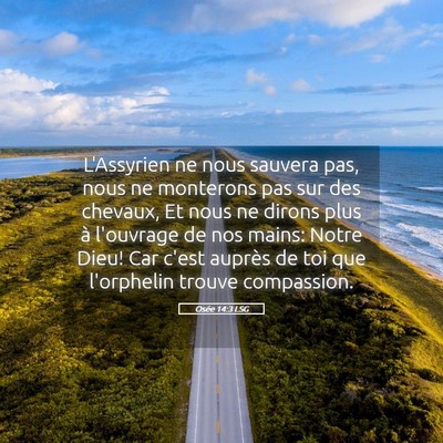 Picture 05 - Osée 14:3 LSG - L'Assyrien ne nous sauvera pas, nous ne monterons - Bible Verse Picture