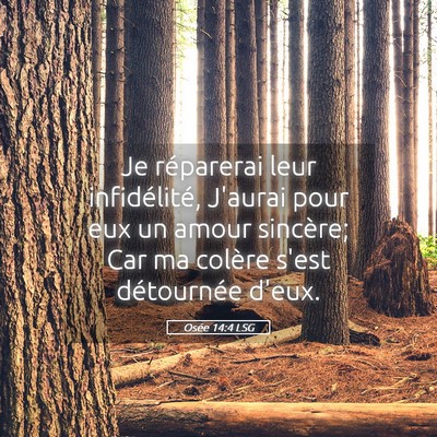 Picture 05 - Osée 14:4 LSG - Je réparerai leur infidélité, J'aurai pour eux - Bible Verse Picture