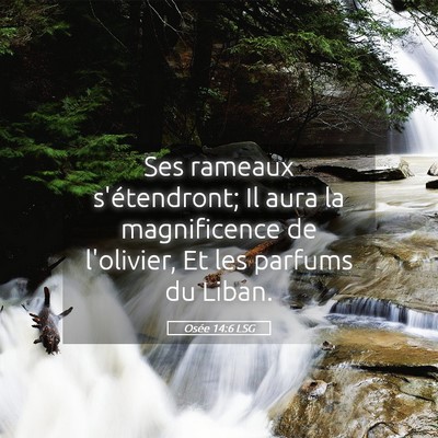 Picture 05 - Osée 14:6 LSG - Ses rameaux s'étendront; Il aura la magnificence - Bible Verse Picture