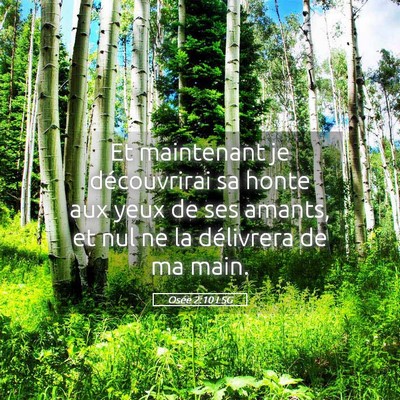 Picture 05 - Osée 2:10 LSG - Et maintenant je découvrirai sa honte aux yeux - Bible Verse Picture