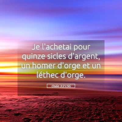 Picture 05 - Osée 3:2 LSG - Je l'achetai pour quinze sicles d'argent, un - Bible Verse Picture