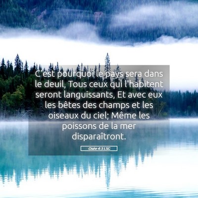 Picture 05 - Osée 4:3 LSG - C'est pourquoi le pays sera dans le deuil, Tous - Bible Verse Picture