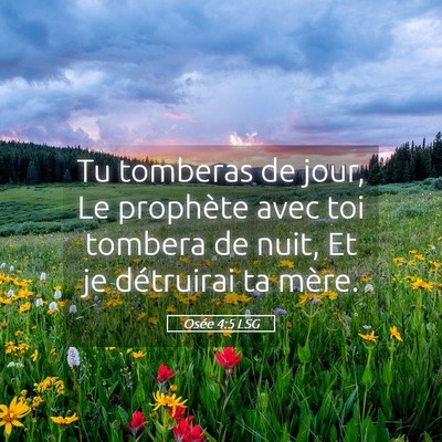 Picture 05 - Osée 4:5 LSG - Tu tomberas de jour, Le prophète avec toi - Bible Verse Picture