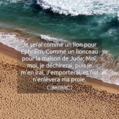 Picture 05 - Osée 5:14 LSG - Je serai comme un lion pour Ephraïm, Comme un - Bible Verse Picture
