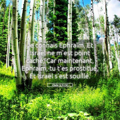 Picture 05 - Osée 5:3 LSG - Je connais Ephraïm, Et Israël ne m'est point - Bible Verse Picture