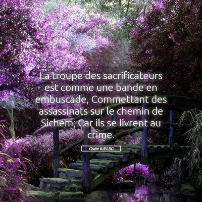Picture 05 - Osée 6:9 LSG - La troupe des sacrificateurs est comme une bande - Bible Verse Picture
