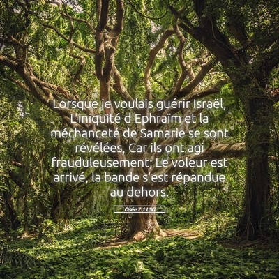Picture 05 - Osée 7:1 LSG - Lorsque je voulais guérir Israël, L'iniquité - Bible Verse Picture