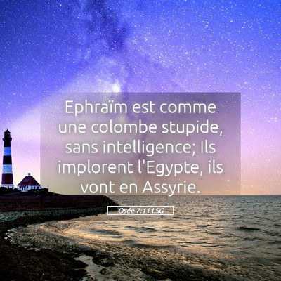 Picture 05 - Osée 7:11 LSG - Ephraïm est comme une colombe stupide, sans - Bible Verse Picture