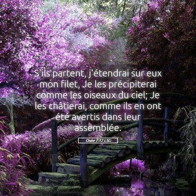 Picture 05 - Osée 7:12 LSG - S'ils partent, j'étendrai sur eux mon filet, Je - Bible Verse Picture