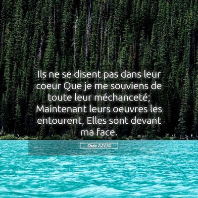 Picture 05 - Osée 7:2 LSG - Ils ne se disent pas dans leur coeur Que je me - Bible Verse Picture