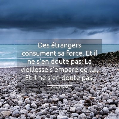 Picture 05 - Osée 7:9 LSG - Des étrangers consument sa force, Et il ne s'en - Bible Verse Picture